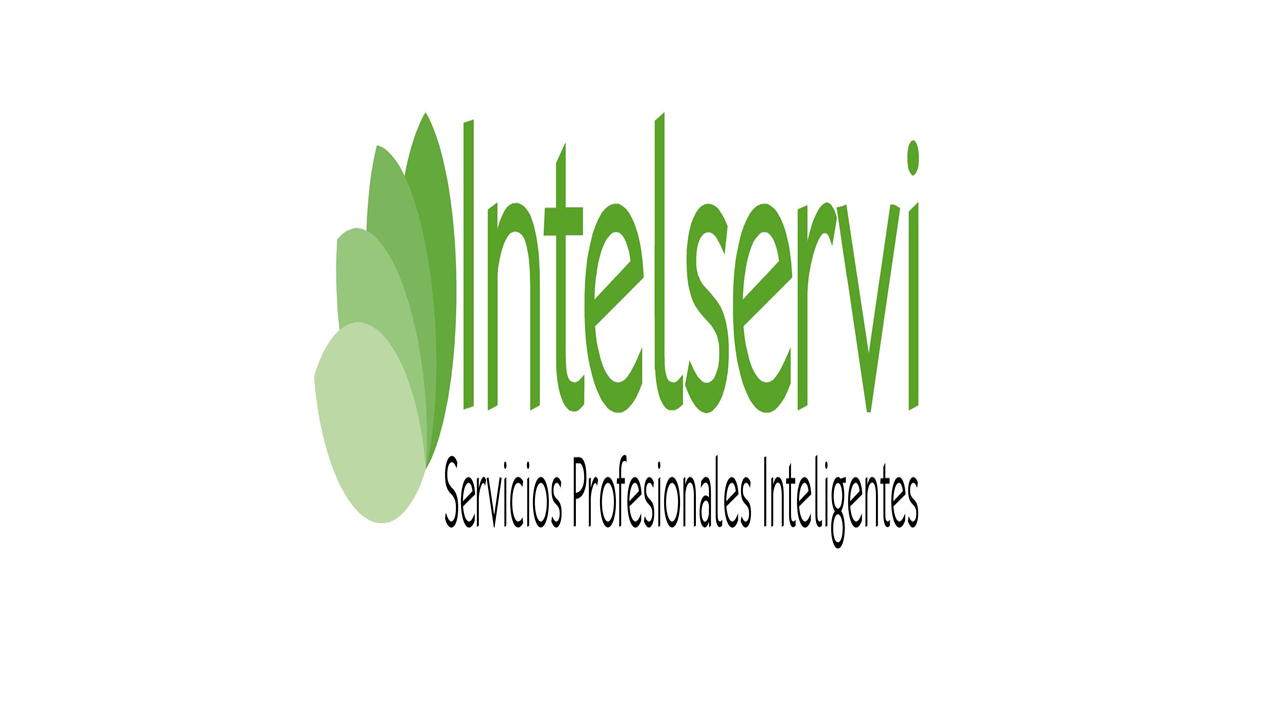 INTELSERVI, S.A. DE C.V.