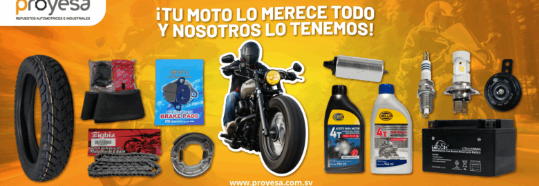 Proyectos Industriales S.A. de C.V. (PROYESA)