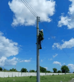 SOTELO TICAS PROYECTOS S. A. DE C. V.