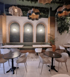 SOTELO TICAS PROYECTOS S. A. DE C. V.