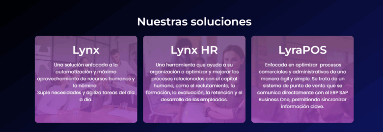 Lynx Consulting, S.A. de C.V.