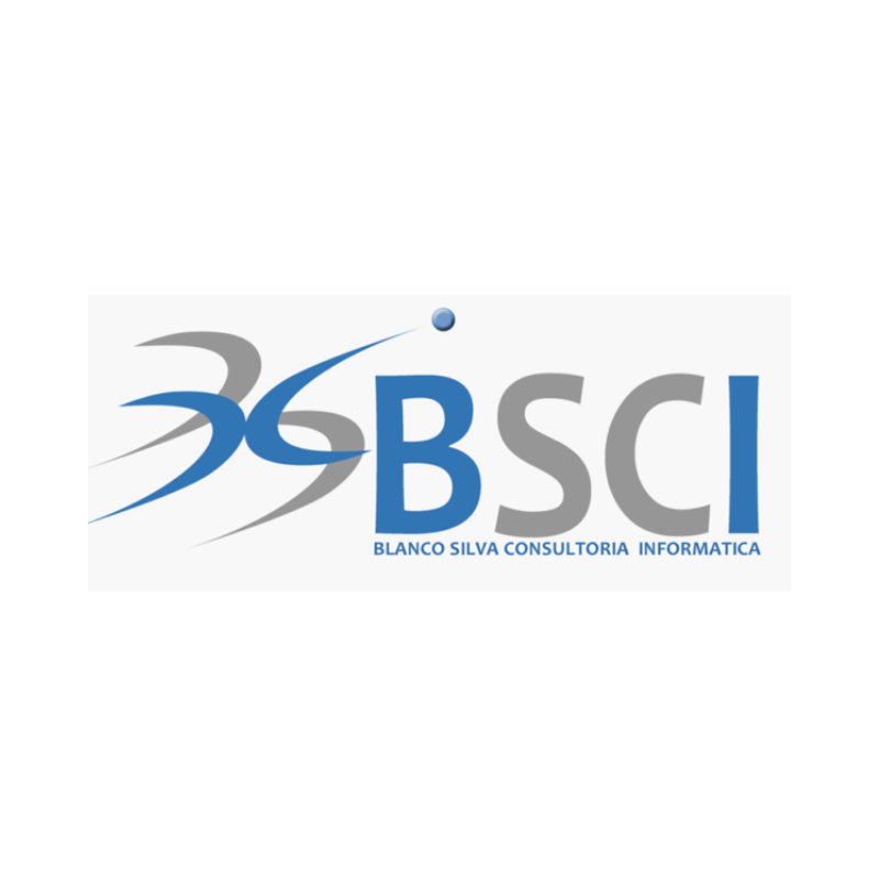 BSCI S.A. DE.C.V.