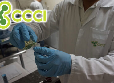 Centro de Control de Calidad Industrial S.A DE C.V