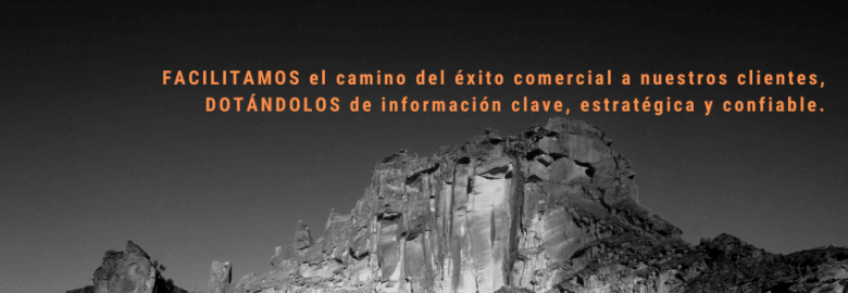 UNIMER Investigación de Mercados