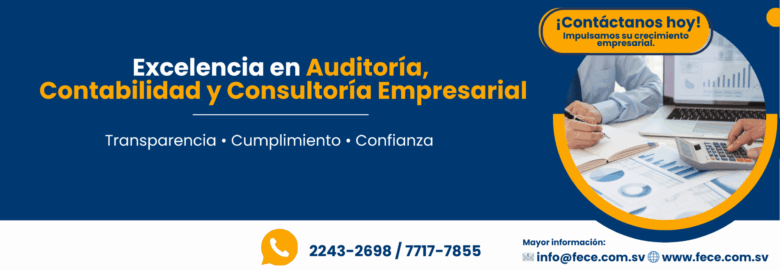 FE&CE AUDITORES, S.A. DE C.V.