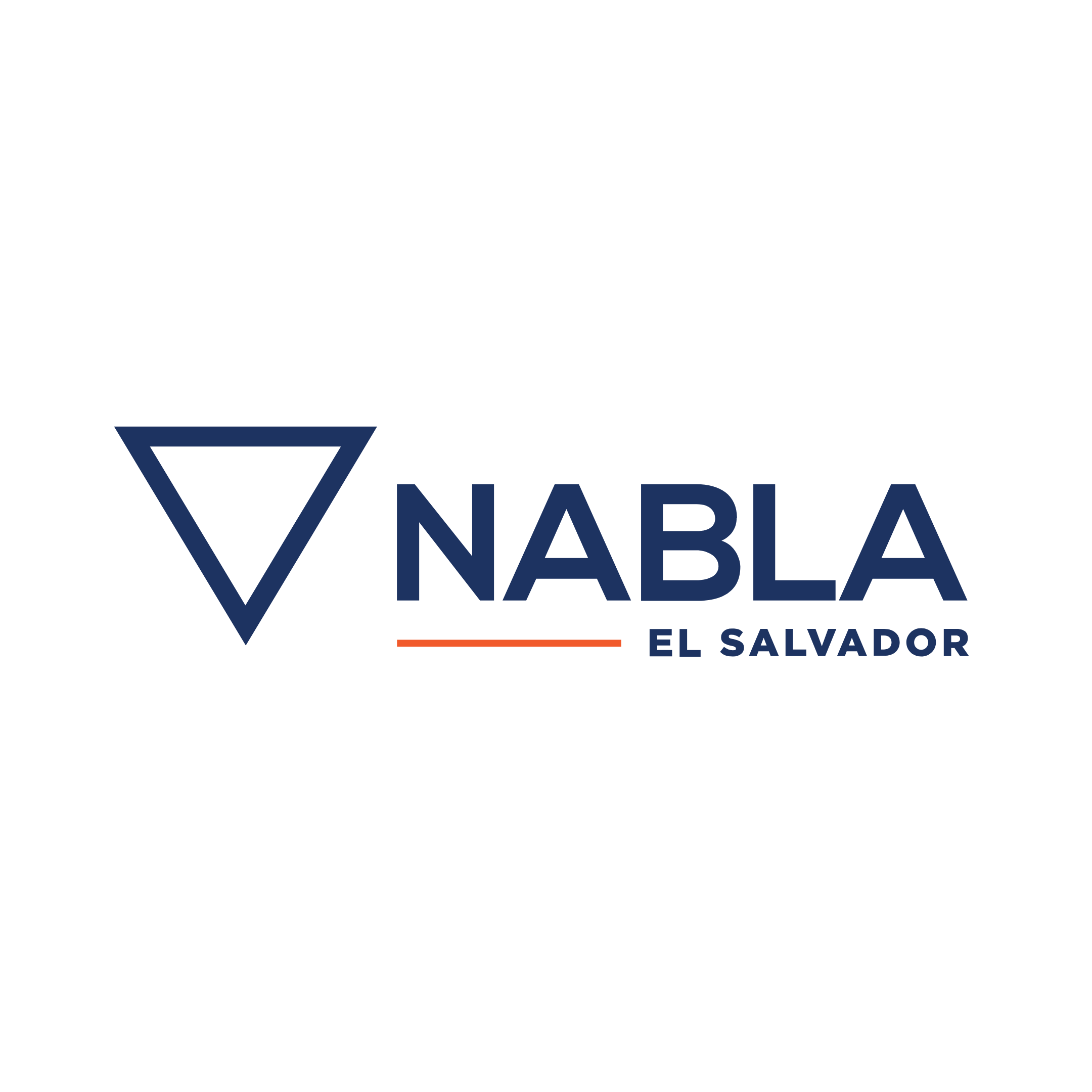 Construcciones Nabla S.A DE C,V
