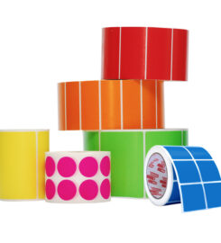 A.M.S. International S.A. DE C.V.