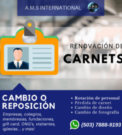 A.M.S. International S.A. DE C.V.