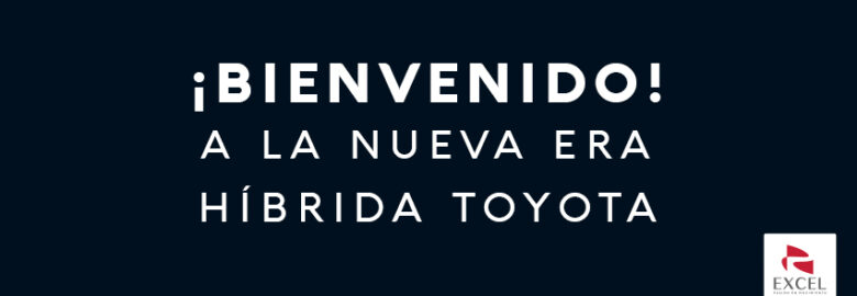 DISTRIBUIDORA DE AUTOMOVILES, S.A. DE C.V.