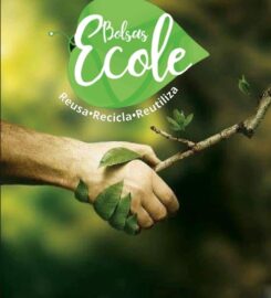 Bolsas Ecole